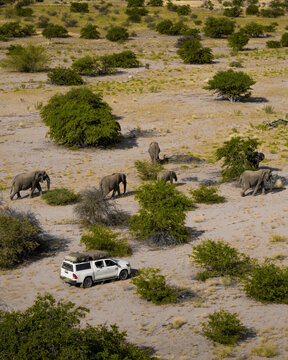 Aerial view of elephants roaming amidst sparse vegetation, a white safari vehicle nearby, under the vast African sky, Uis, Erongo Region, Namibia.