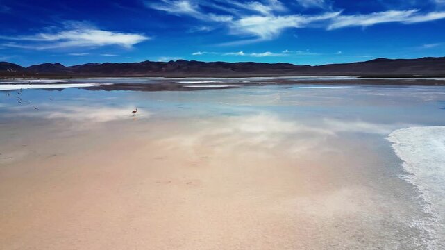 Lone flamingo taking flight across a vast mirror-like salt lagoon reflecting blue sky and clouds with arid hills on the horizon. Reserva Nacional Los Flamencos, Chile