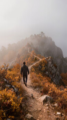 Obraz premium Autumn hiking scene: a backpacker walking along a forest trail in mist, fallen leaves, soft light, calm atmosphere of travel and solitude. 
