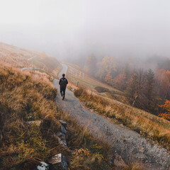 Obraz premium Autumn hiking scene: a backpacker walking along a forest trail in mist, fallen leaves, soft light, calm atmosphere of travel and solitude. 