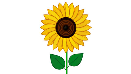 Fototapeta premium Bright yellow sunflower with dark brown center and green leaves, isolated on transparent background