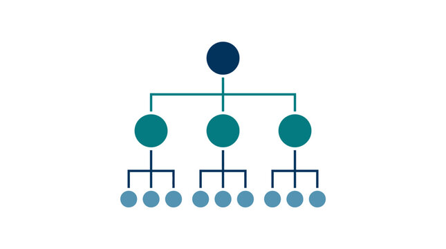 Hierarchical organization chart with connected circular nodes on
