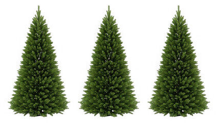 Fototapeta premium Three christmas trees arrangement isolated on transparent background