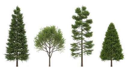 Fototapeta premium Collection of diverse evergreen trees isolated on transparent background