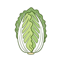 Fototapeta premium Stylized Illustration of a Fresh Chinese Cabbage Cut in Half Showing Layers