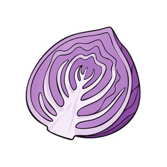 Obraz premium Vibrant illustration of a halved red cabbage showing its layered structure and deep purple hue