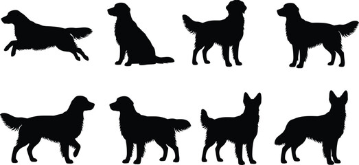 Obraz premium Golden retriever silhouette set with running sitting and standing dog poses