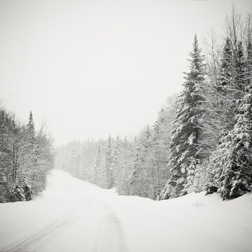 Snow-covered State Route 86 and trees