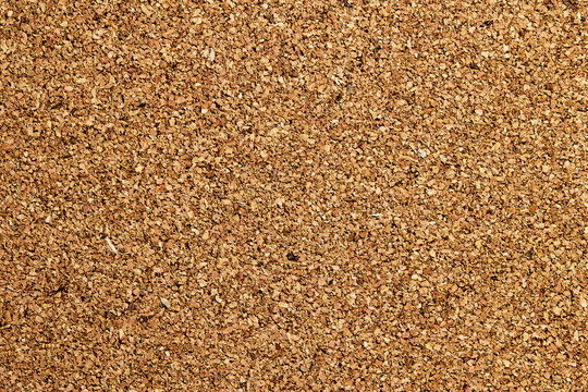 Close-up of blank cork board