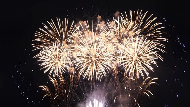 Colorful fireworks exploding in night sky for commercial backgrounds, digital design, and advertising