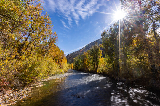 Big Wood River and sun shining through trees with fall foliage