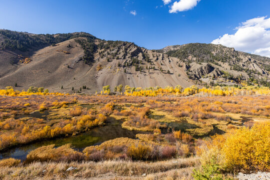 Beaver Ponds along Trail Creek in autumn