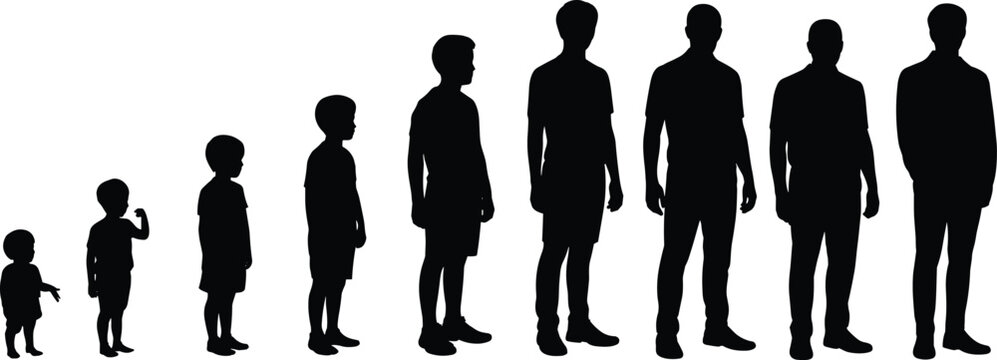 Human growth stages silhouette, child to adult development illustration, age progression concept, life cycle evolution, male growth timeline, isolated black figures on white background