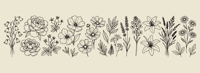 Minimal hand drawn botanical border, Expressive brush line wildflower sketch, Clean layout garden flora illustration, High negative space nature drawing, Rough sketch style floral border art, Simple b © Geetaroy