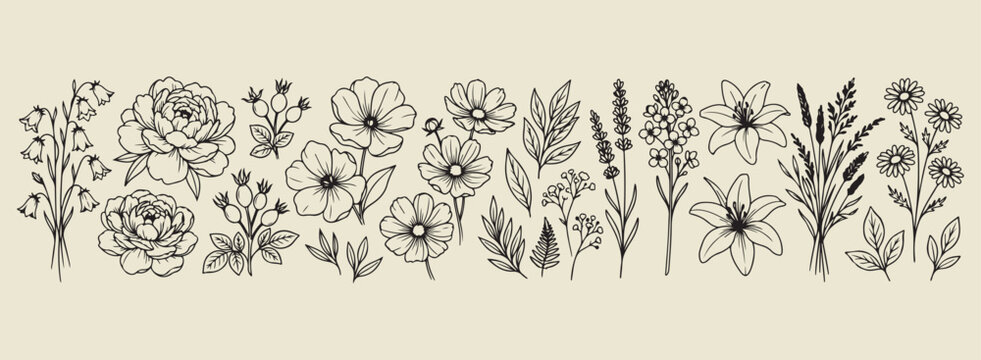 Minimal hand drawn botanical border, Expressive brush line wildflower sketch, Clean layout garden flora illustration, High negative space nature drawing, Rough sketch style floral border art, Simple b