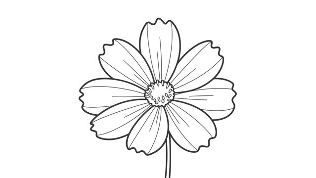 Black and white illustration of a delicate single flower on white background
