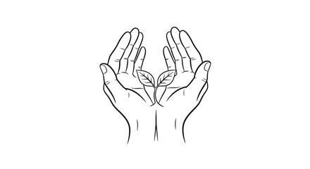 Fototapeta premium A delicate line drawing depicts two hands cupping a small budding plant with two leaves