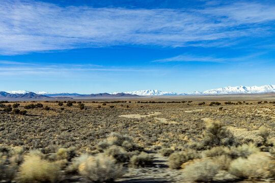 Grassy field with snow covered mountains in distance