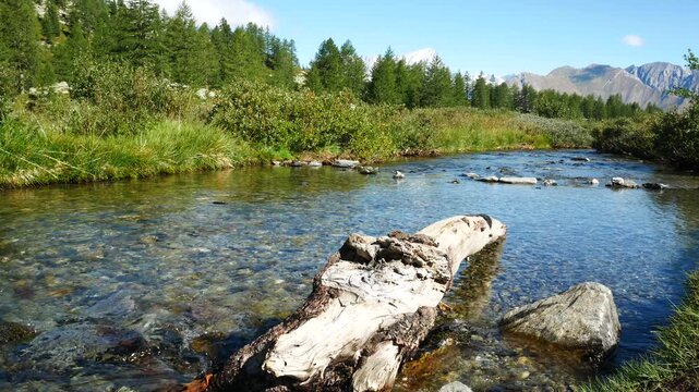Mountain stream with crystalline waters, close to the famous Arpy Lake, Morgex, Aosta Valley, Italy. Big trunk in the foreground. Mountain peaks and green vegetation on the background.