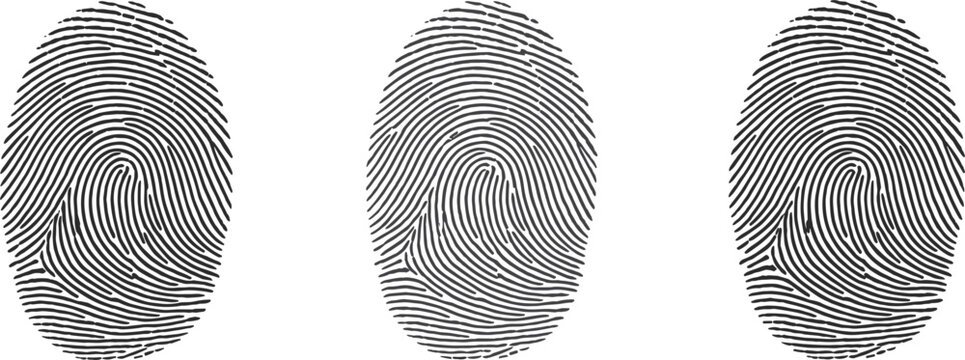 Fingerprint silhouette collection set, human thumb print icons for security and forensic isolated vector illustration