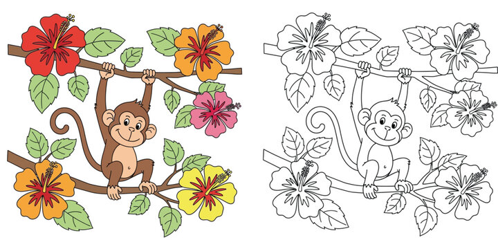 Cute monkey hanging on a branch with hibiscus flowers coloring book page for kids with colored version and black and white line art illustration