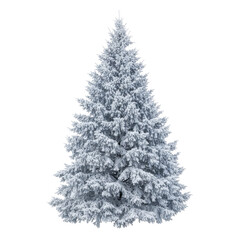 Obraz premium Snowy coniferous christmas tree isolated on a transparent background