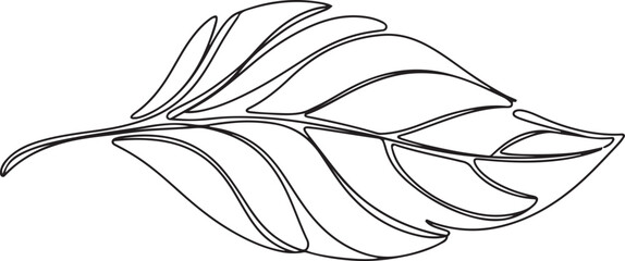 black and white outline sketch of a leaf. floral, botanical leaf element design Vector eps. one line Icon drawing © Nargis