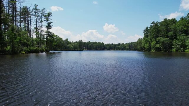Low drone flight in a stunning lake during summer, surrounded by a dense forest during summer, Harold Parker State Forest, Andover