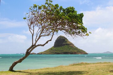 Wybrzeże wyspy O'ahu na Oceanie Spokojnym © Dariusz Wolański