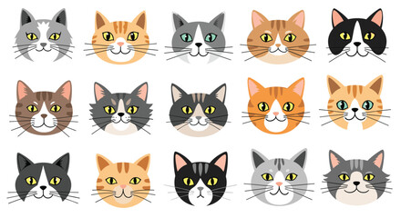 Fototapeta premium Grid of fifteen diverse cat head illustrations showing different breeds and coat patterns including tabby, calico, black, and ginger felines.
