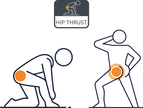 Hip thrust exercise illustration proper form and muscle engagement