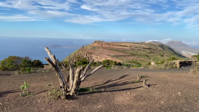 Amazing view from Mirador Rinc&oacute;n de Har&iacute;a, Lanzarote, Canary Islands, Spain