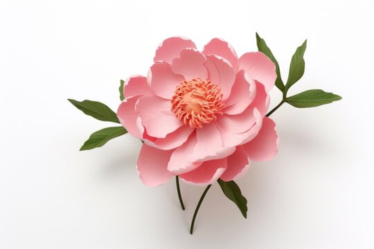 Blossom flower petal plant.