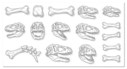 Dinosaur Fossil Skull and Bones Illustration Vector Set for Paleontology Design © Fajar