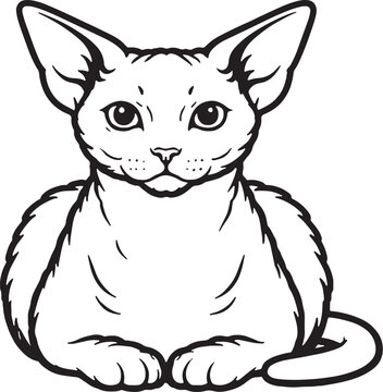 Devon Rex cat loaf sitting front view black and white line art isolated