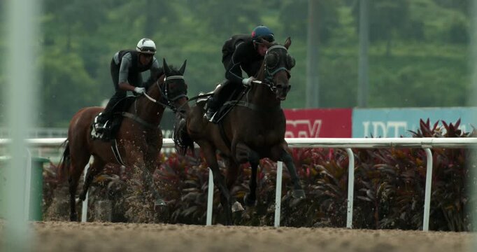 Two Race Horses Galloping in Slow Motion at Kranji Turf Club Singapore