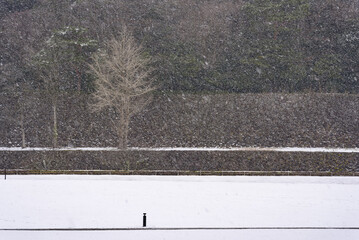 눈,성곽,가나자와성,가나자와,이시카와현,일본