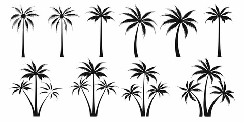 Fototapeta premium Collection of black silhouette palm trees in varying heights and groupings