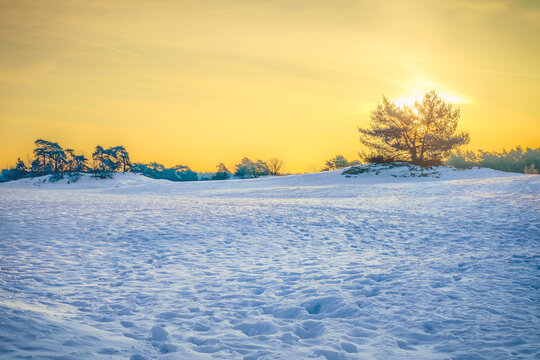 Golden sun melts into crisp winter snow, painting the sky.