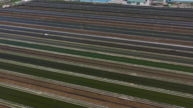Yellowtail Fish Farm Kats Zeeland Aerial View