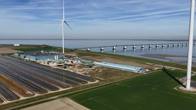 Yellowtail Fish Farm Kats Zeeland Aerial View