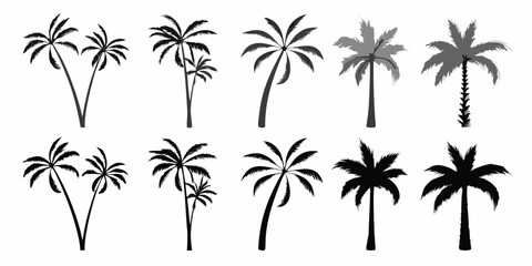 A collection of various black palm tree silhouettes against a white background © Pabitra