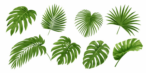 Collection of vibrant green tropical leaves in a botanical arrangement © Pabitra