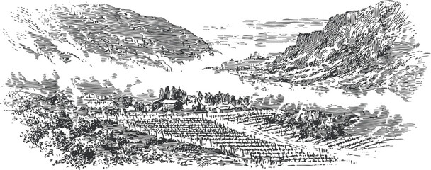 Fototapeta premium vintage black and white engraving of a mountain village landscape with vineyards and hills
