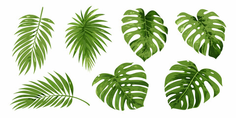 Collection of vibrant tropical leaves in various shapes and green hues © Lalin