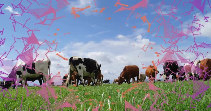 Digital particle shapes appearing at edges, swirling over grazing cattle, fading for visual effect