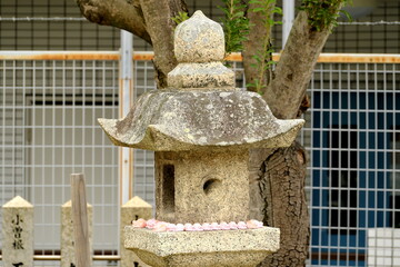 日本の神社に並ぶ可愛いピンクのうさぎと伝統的な石灯籠 © taka