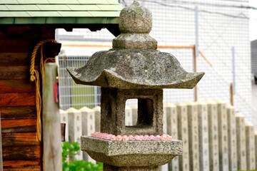 日本の神社に並ぶ可愛いピンクのうさぎと伝統的な石灯籠 © taka