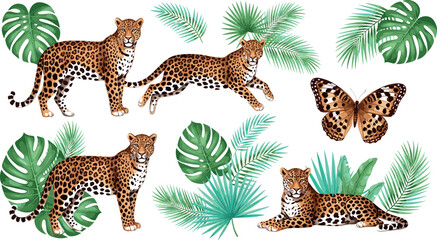 Leopard vector set with tropical leaves and butterfly, realistic wild jungle animals collection for nature wildlife design projects © MdRazaul