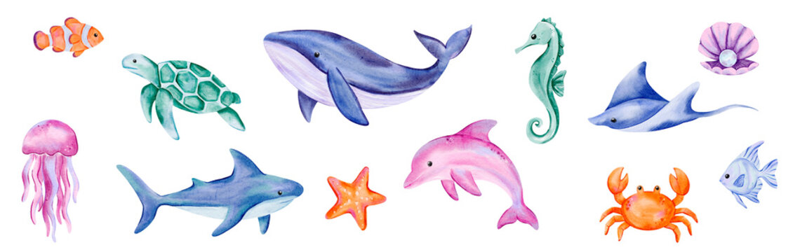 Watercolor Sea Animals and Ocean Creatures Including Whales, Dolphins, Sharks, Fish, Crab, Jellyfish, and More